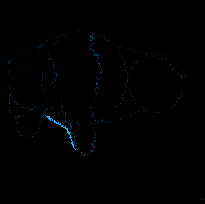 Drawing the second front leg to show perspective.