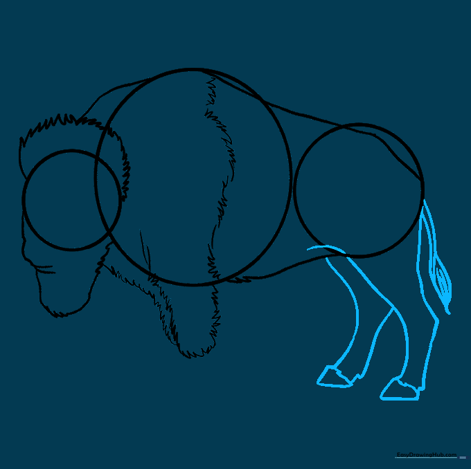 Adding the rear legs, hooves, and a tufted tail to the buffalo sketch.