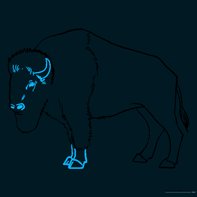 Adding facial features, horns, and hoof details to the buffalo drawing.