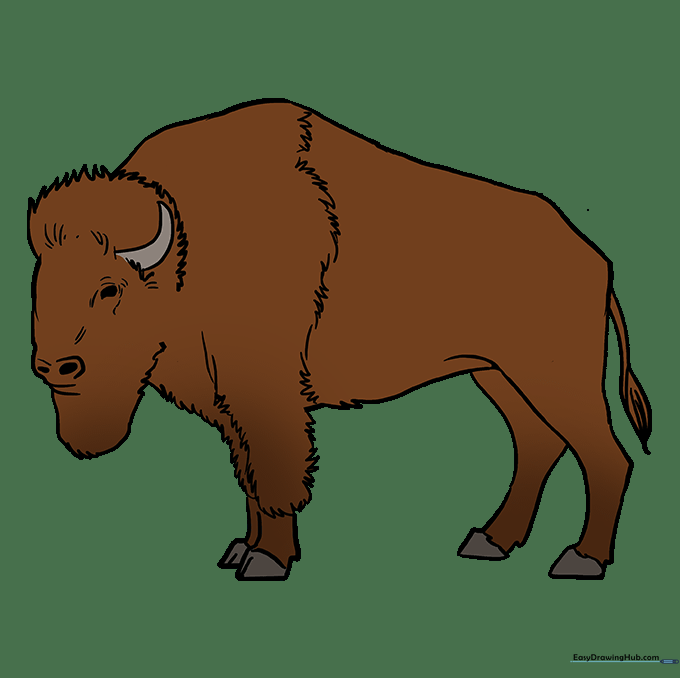 A fully colored, finished buffalo drawing.