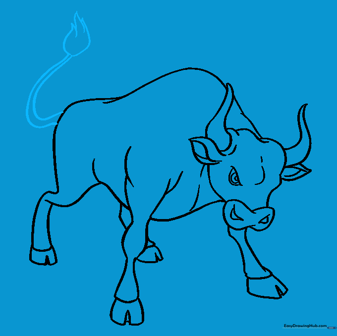 Drawing the bull's tail with a fluffy, jagged-line tuft at the end.