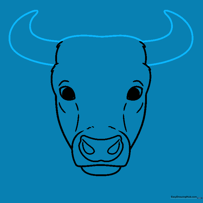 Two large, pointed horns extending from the top of the bull's head.