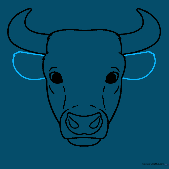 Two ears attached to the sides of the head with a slightly jagged outline.