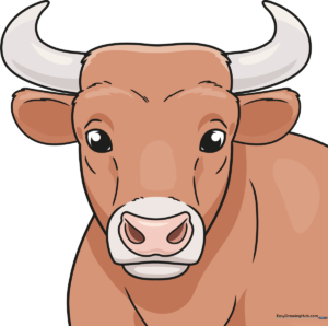 A vibrant, finished cartoon bull head illustration, showcasing the final result of the tutorial.