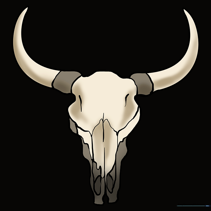 Completed and colored bull skull drawing