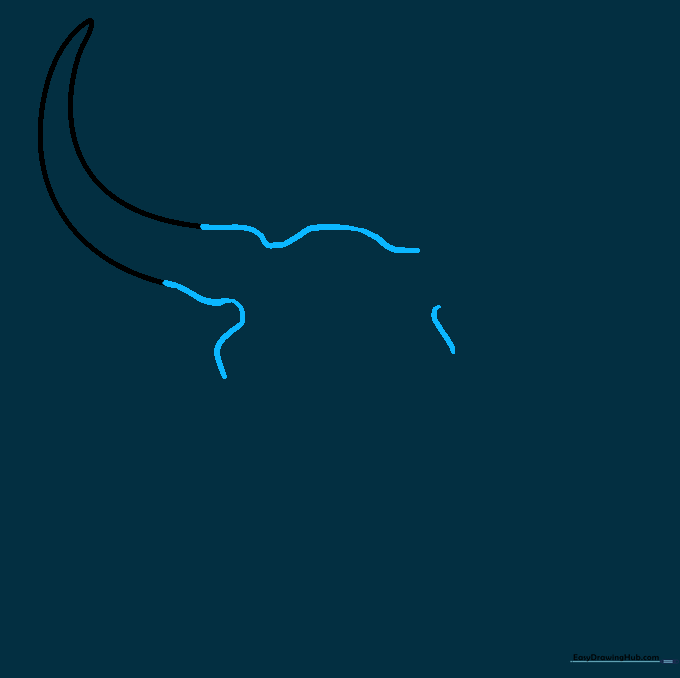 Drawing the top of the bull skull with a space for the second horn