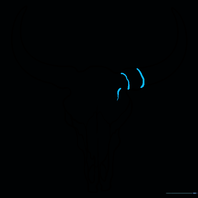 Adding texture lines to the base of the bull horns