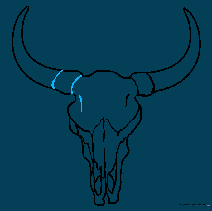 Finalizing the outline and adding finishing details to the bull skull