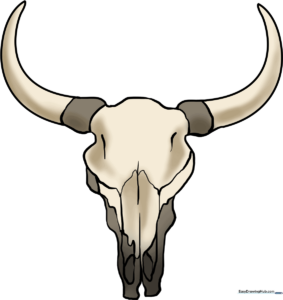 A finished, high-quality illustration of a bull skull for art students