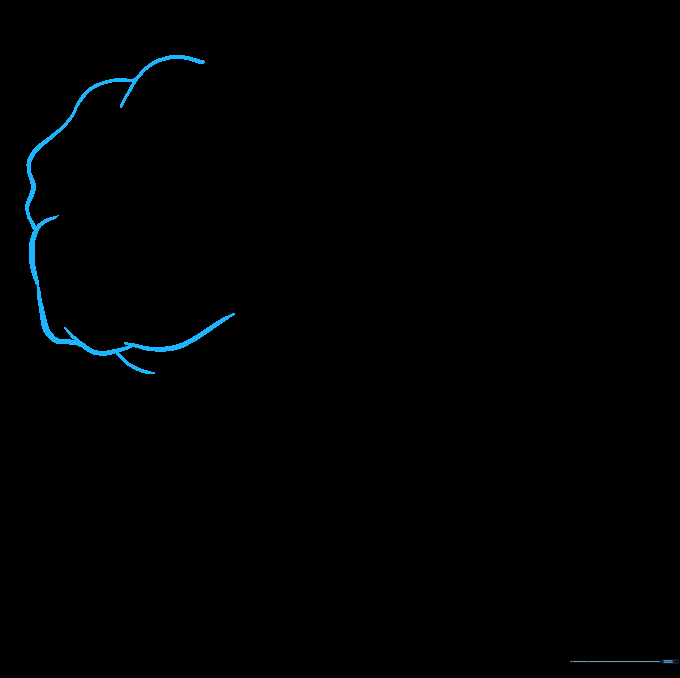 Pencil sketch showing the initial irregular circular outline for a bulldog's head.