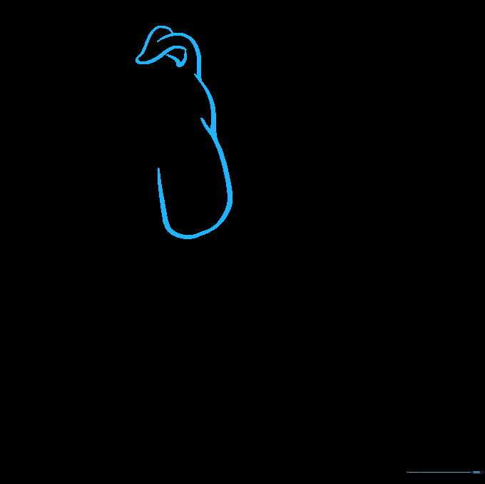 Drawing the bulldog's floppy ears and the prominent U-shaped jowl line.