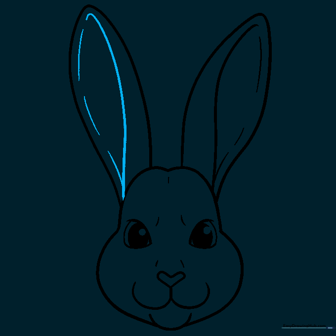 Final line art of the bunny face with inked details and eye highlights.