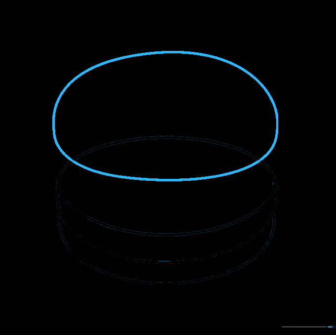 Sketching a large oval on top of the patty to represent the top bun.