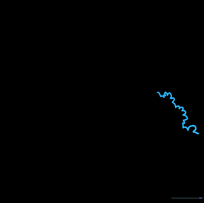 The completed outline of the bush with overlapping curved lines.