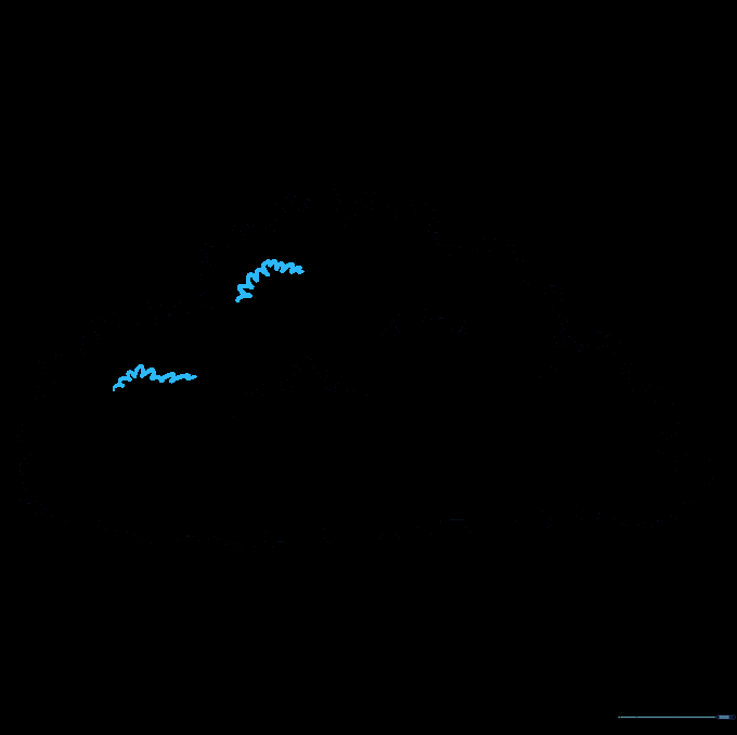 Adding more internal foliage details using small U-shaped strokes.