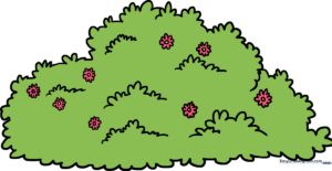 A vibrant, colorful illustration of a flowering bush, showcasing the final result of the tutorial.