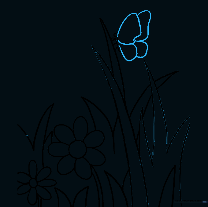 Butterfly wings outlined with a double-line pattern.