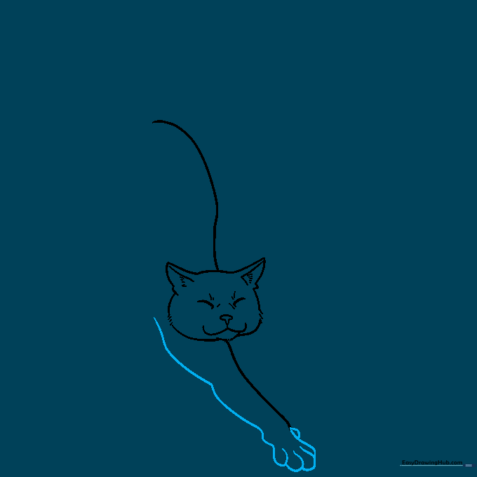 Detailed sketch of a cat's front leg showing elbow, wrist, and rounded paw toes.