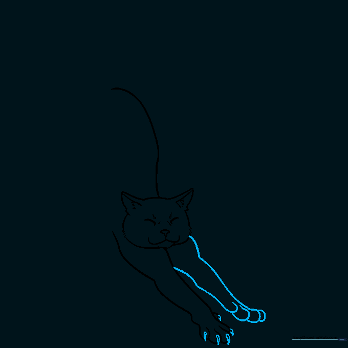 Drawing of the second front leg with small, sharp triangular claws visible on the paw.
