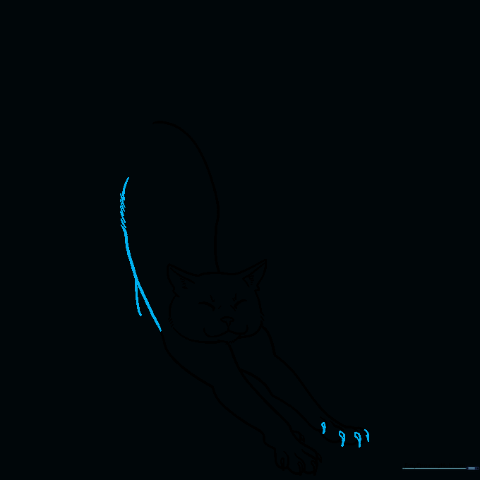 Outline of the cat's belly and the beginning of the rear leg with textured fur lines.