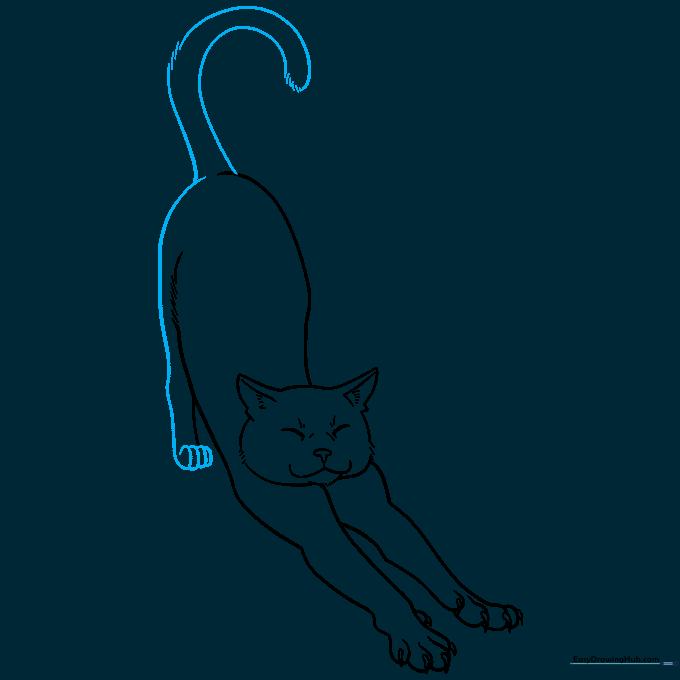 Completed back paw and a long, curved cat tail with fur texture details.