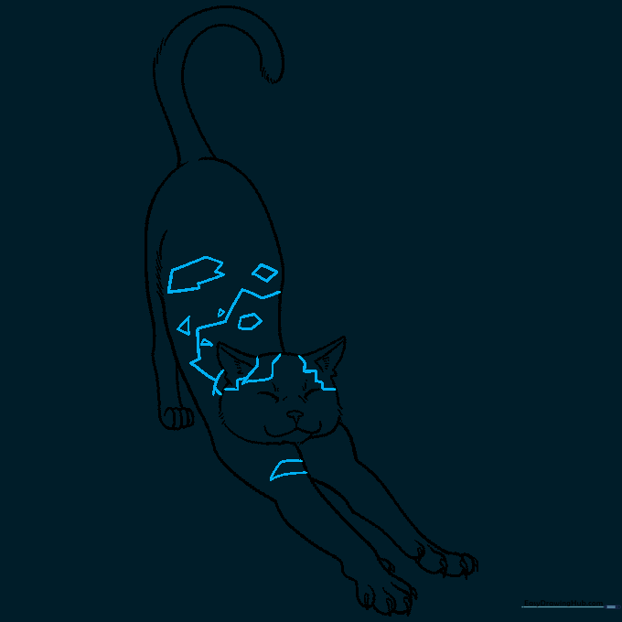 Cat body outline with various irregular, blotchy shapes sketched on to represent calico spots.