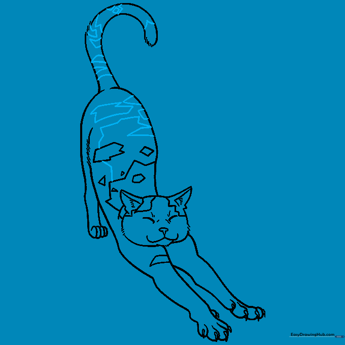 The cat drawing now features a complete set of spots across the back and tail for a finished look.