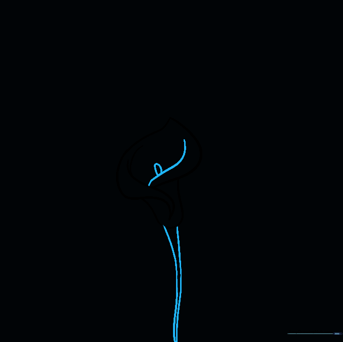 Drawing the central spadix as an oval and extending the stem downward.