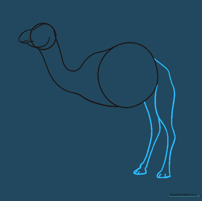 Two rear legs drawn with curved lines, showing the knee joints and hoof details.