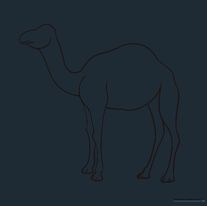 The camel outline with all internal construction circles and lines erased.