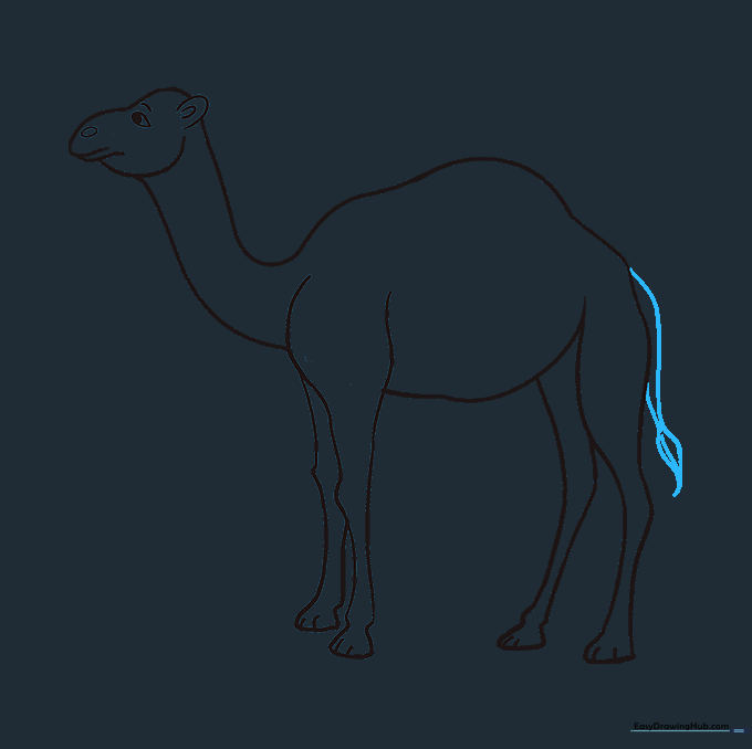 A simple tail added to the back of the camel with a textured tuft of hair.