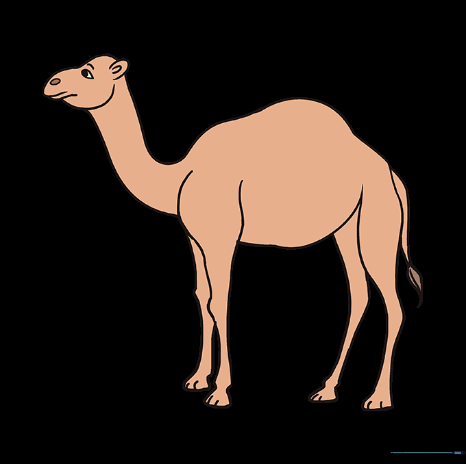 A fully colored camel drawing in shades of tan and brown.