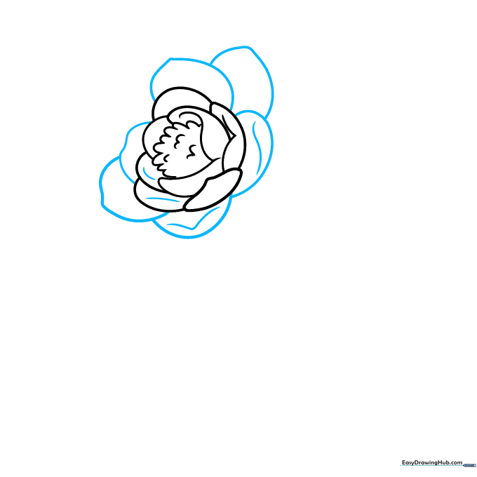 Drawing overlapping petals to add dimension to the camellia.