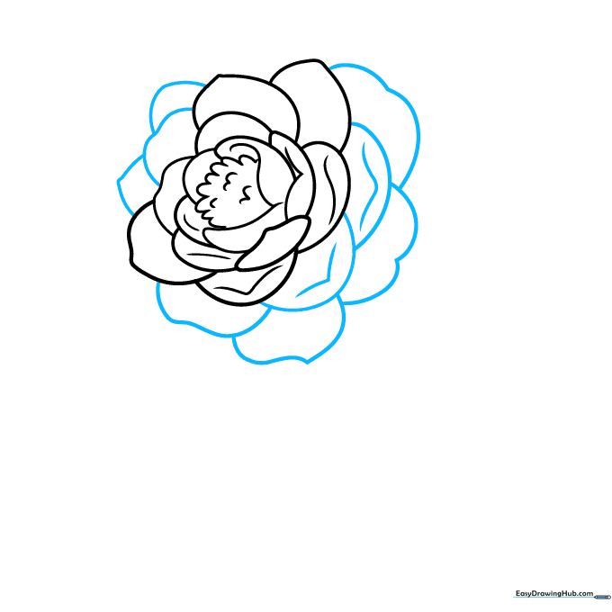 Detailing petal edges with small V-shaped lines.