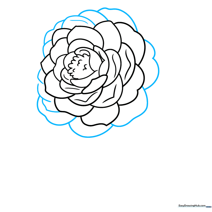 Expanding the camellia bloom with outer petal layers.