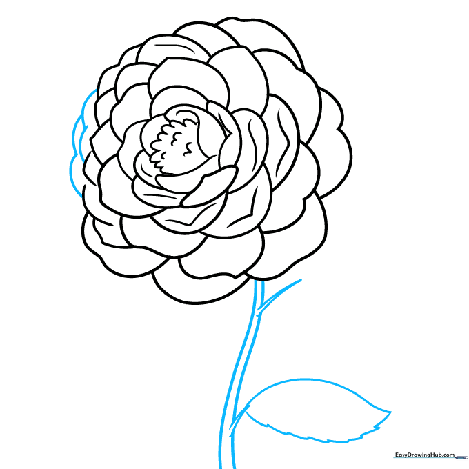 Drawing the stem and the first serrated leaf of the camellia.