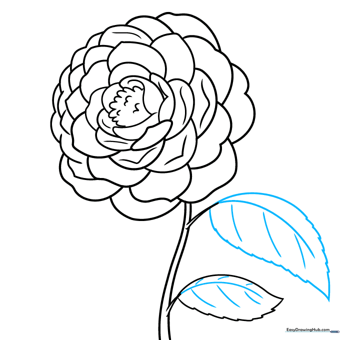 Adding central and side veins to the camellia leaves.