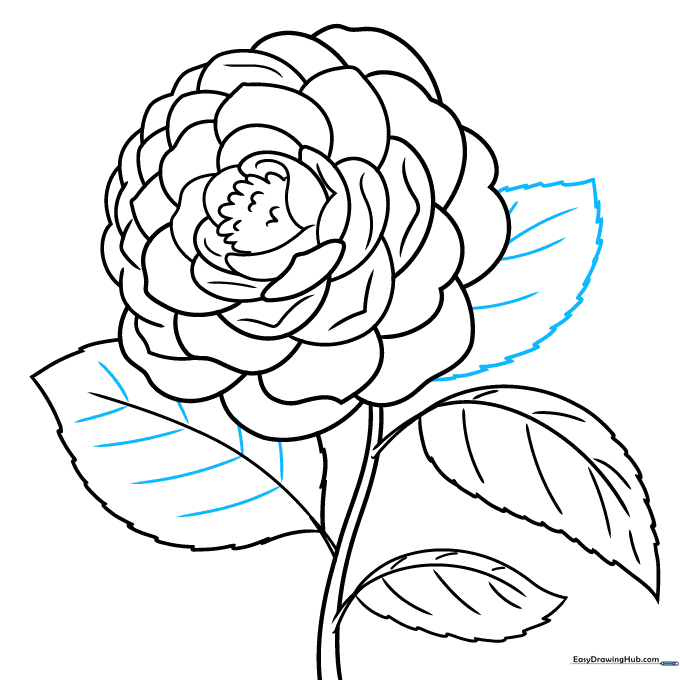 Finalizing the camellia sketch with an extra leaf and clean-up lines.