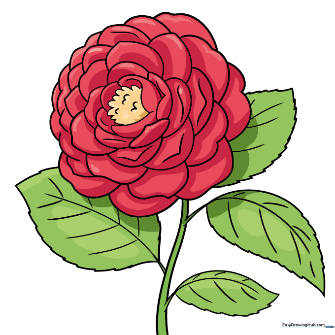 The final colored camellia drawing with red petals and green leaves.