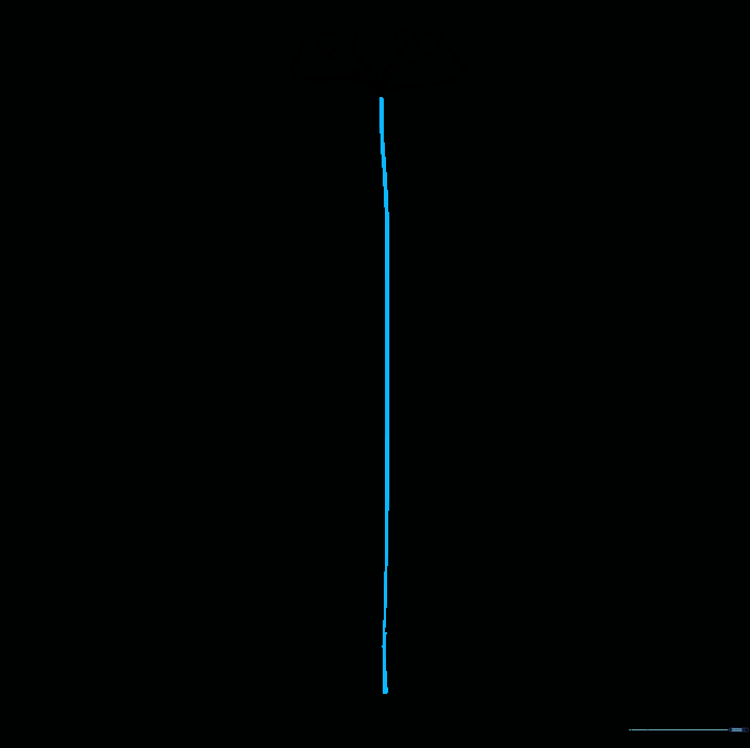 A single vertical line extending downward from the center of the cape collar.