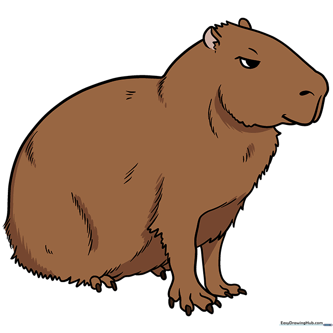 The final colored capybara drawing with brown fur and realistic shading.