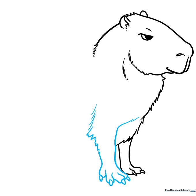 Adding the second front leg to the capybara drawing to create perspective.