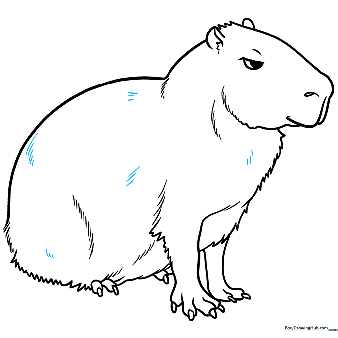 Adding final fur texture lines to the capybara's body.