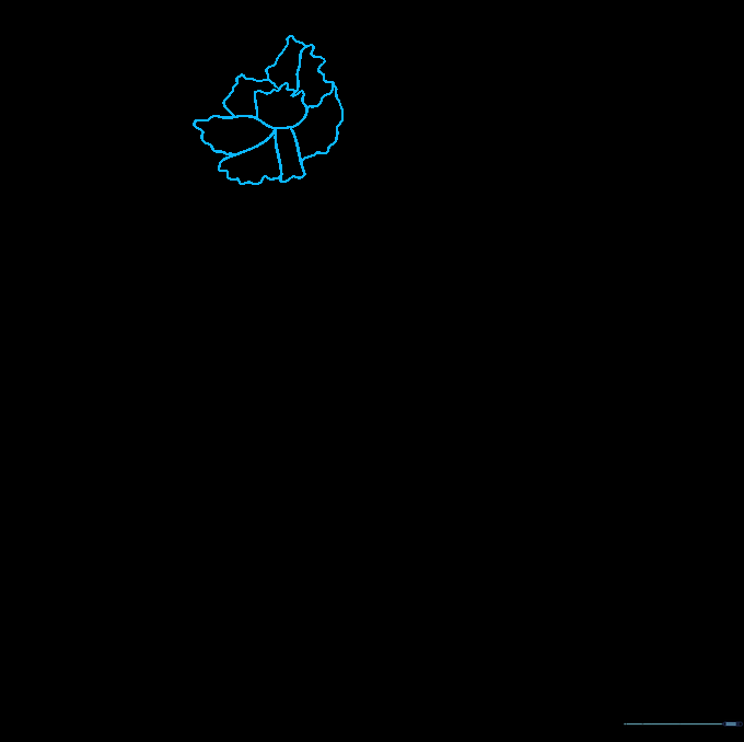 Close-up of a central carnation petal drawn with a jagged, wavy line on white paper.
