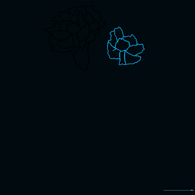 Beginning the outline of a second carnation flower head next to the first one.