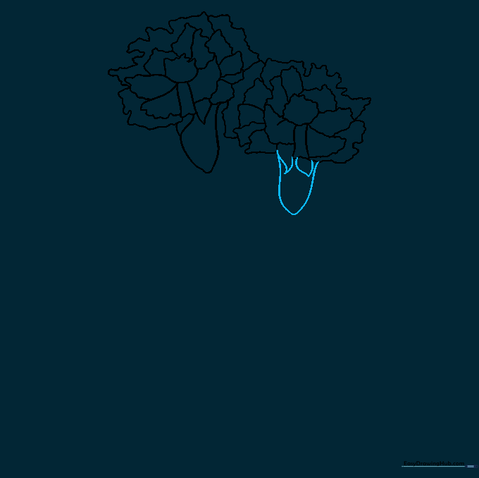 Drawing the sepal base for the second carnation flower.