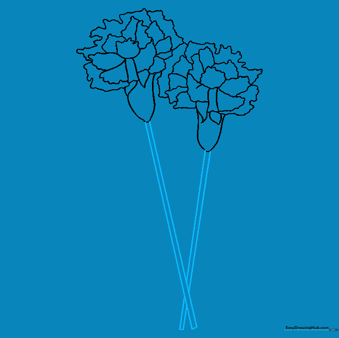 Drawing two long, crossing stems extending from the carnation flower heads.