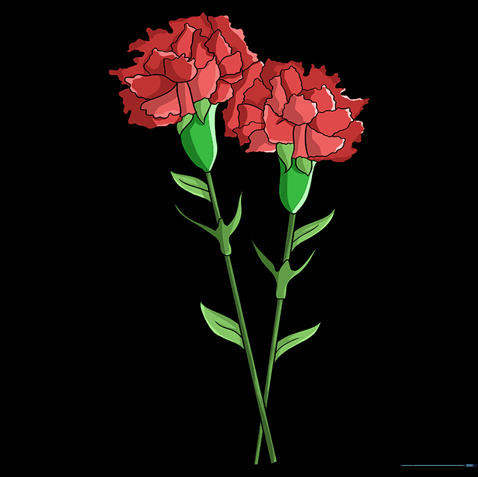 The final colored carnation drawing with pink petals and green stems.