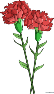 A colorful, finished drawing of two carnations, perfect for a Mother's Day card.