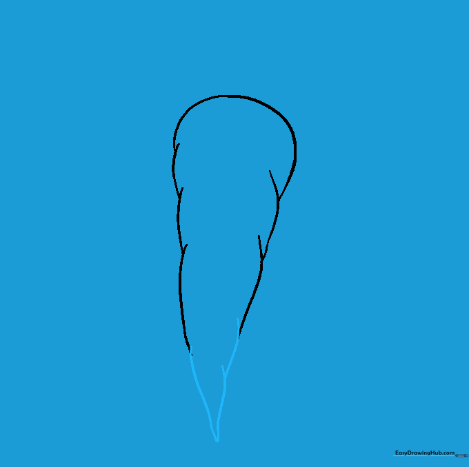 The carrot shape narrowing to a sharp point at the bottom.
